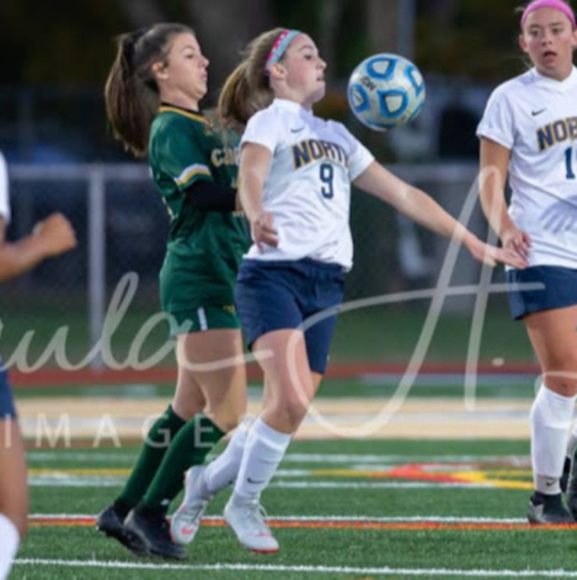 Meet your Posher, Jacqueline - Picture 1 of 1